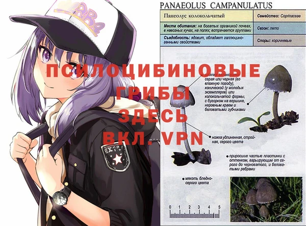 амфетамин Струнино