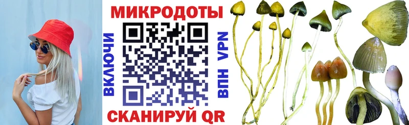 Галлюциногенные грибы Cubensis  Долинск 